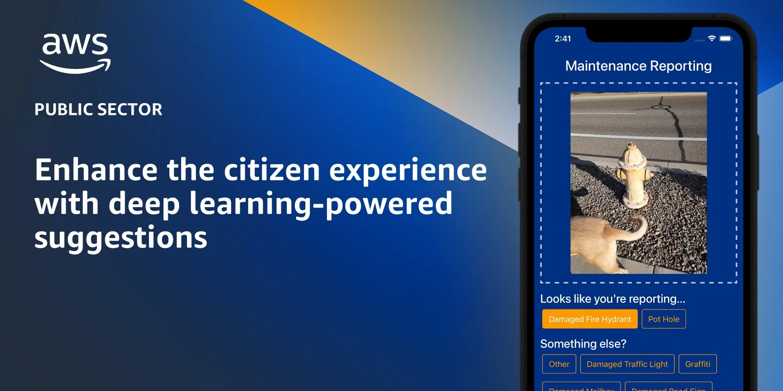 Citizen reporting a public issue with a mobile device
