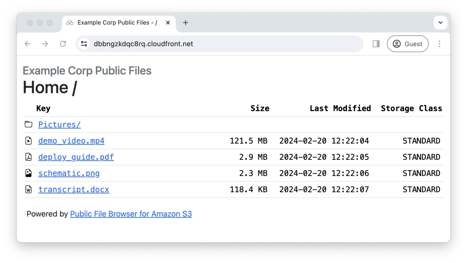 Public file browser interface